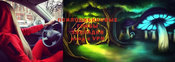 прущие грибы Балабаново