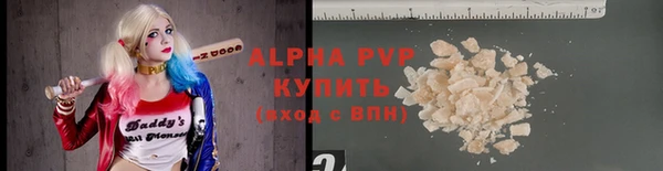 прущие грибы Балабаново