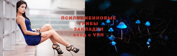 прущие грибы Балабаново