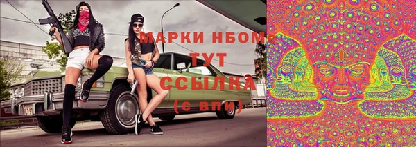 прущие грибы Балабаново