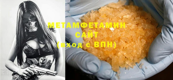 прущие грибы Балабаново