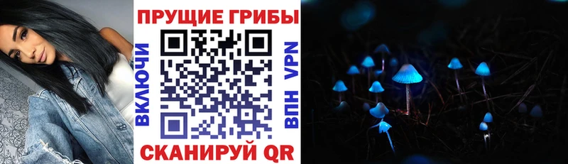 мориарти как зайти  Вуктыл  Галлюциногенные грибы Psilocybe  где купить наркоту 